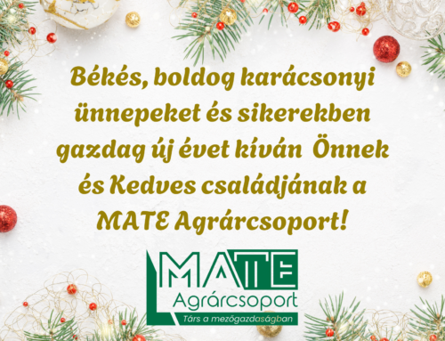 Kellemes ünnepeket kívánunk!